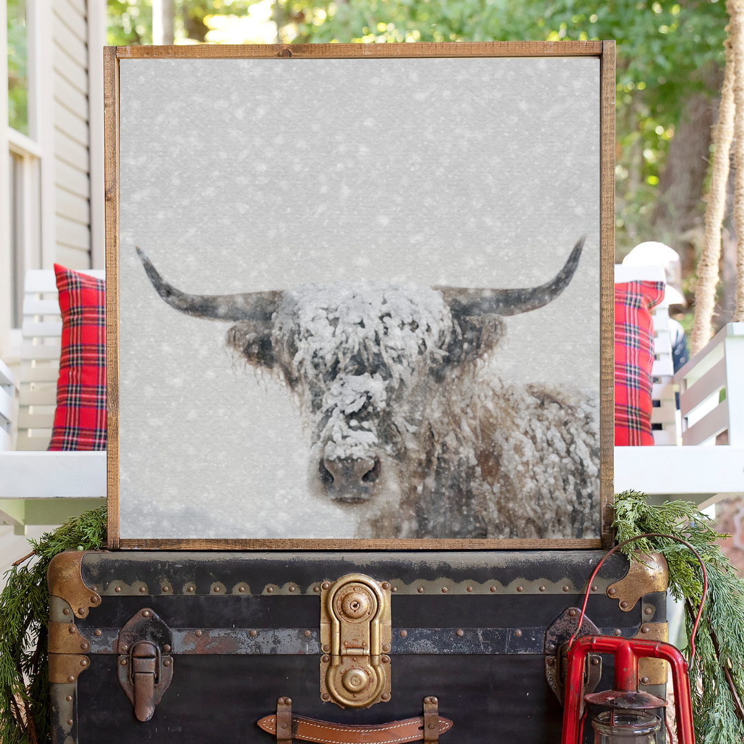 Snowy Highland Cow Canvas Printed Sign