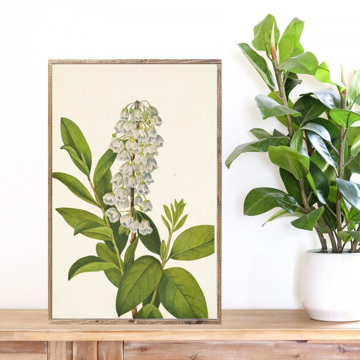 Bell Flower Canvas Printed Sign