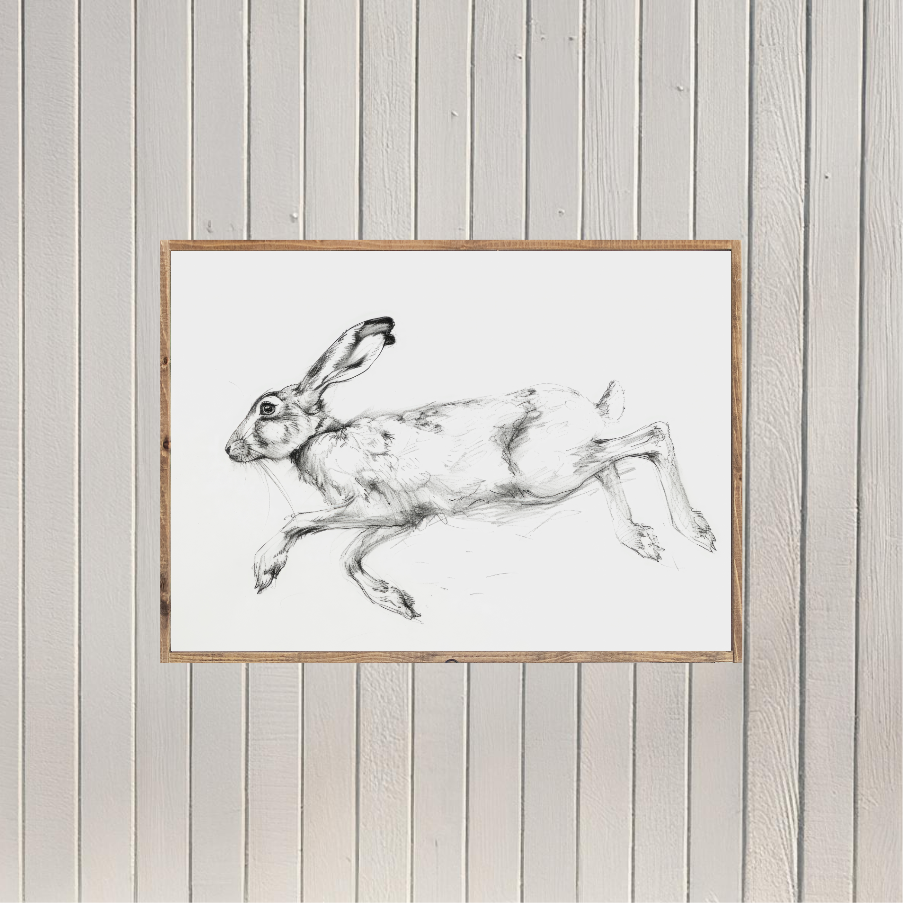 Bunny Sketch Canvas Printed Sign