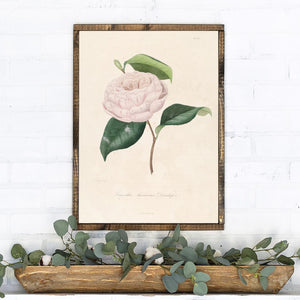 Camellia Flower Canvas Printed Sign