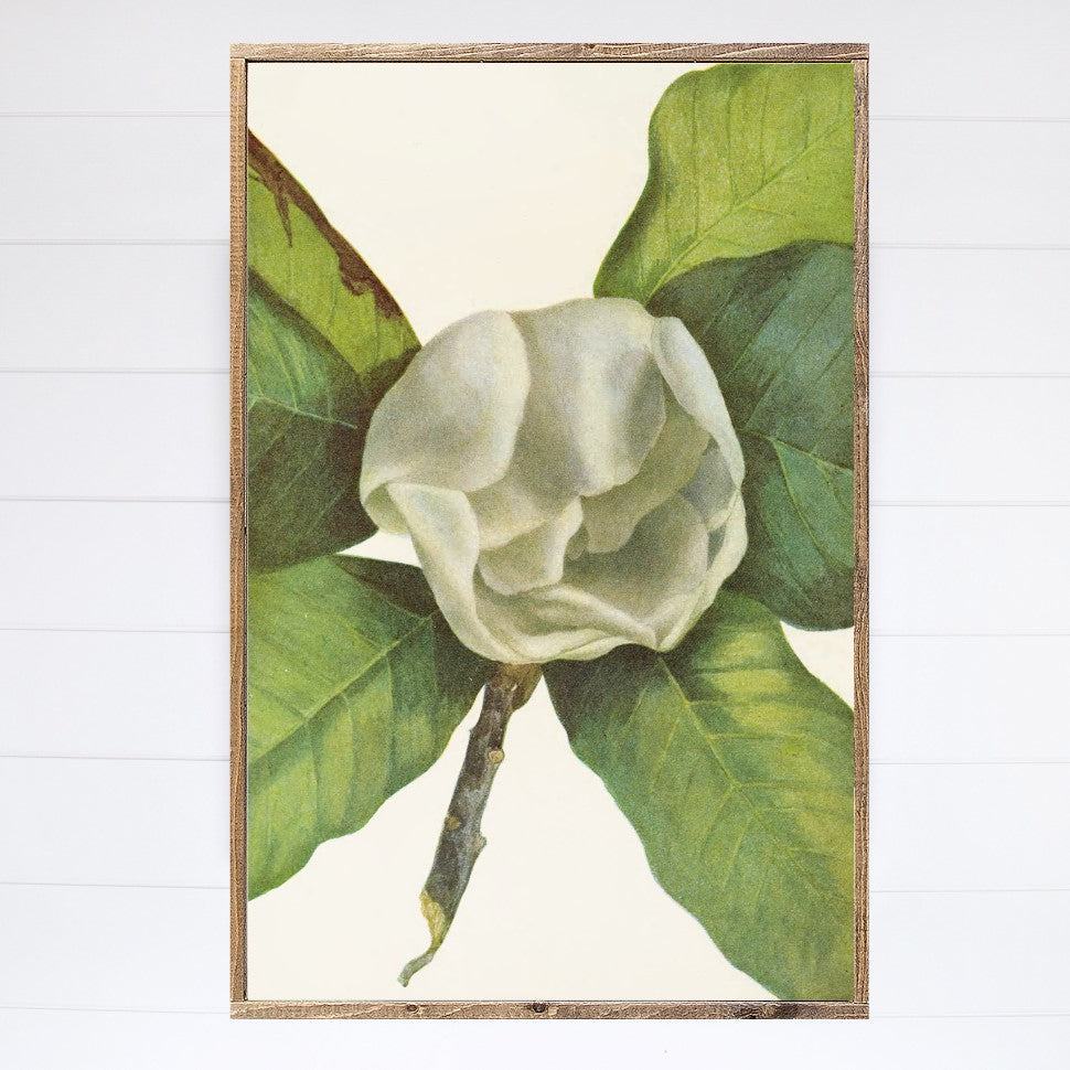 Magnolia Canvas Printed Sign