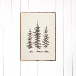 Pine Trio Canvas Printed Sign