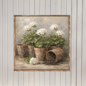 Potting White Geraniums Canvas Printed Sign