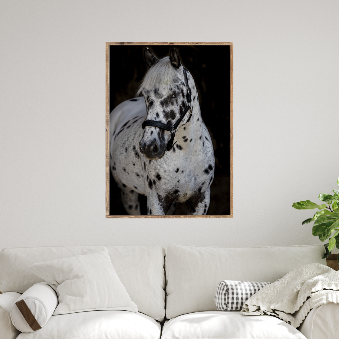 Spotted Grace Appaloosa Horse Canvas Printed Sign