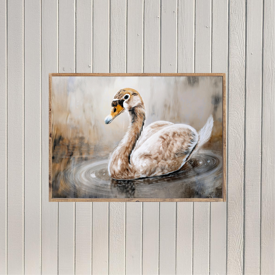 Swimming Swan Canvas Printed Sign