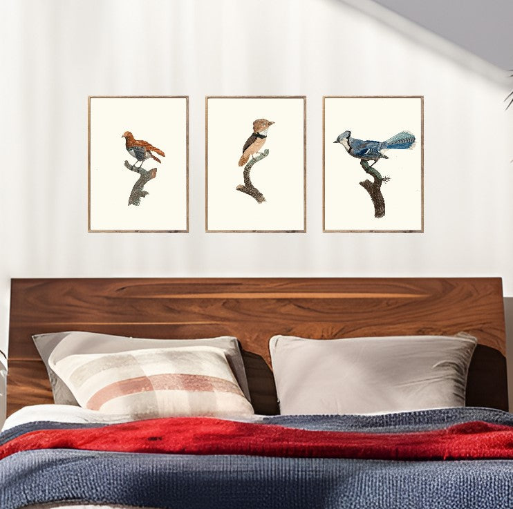 Birds Set of 3 Canvas Printed Signs