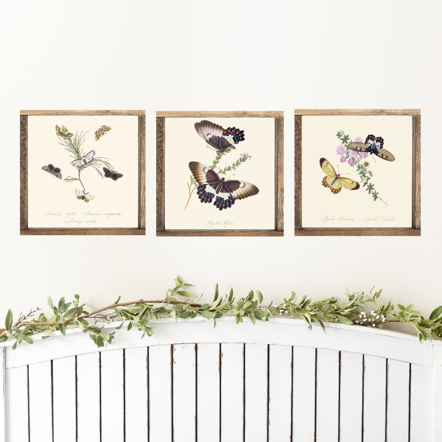 Butterfly Set of 3 Canvas Printed Signs