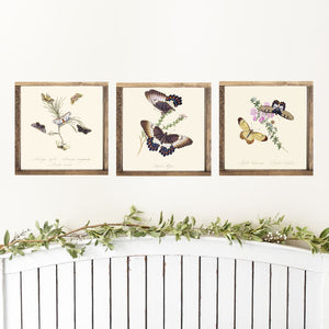 Butterfly Set of 3 Canvas Printed Signs