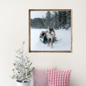 Snowy Reindeer Set of 3 Canvas Printed Signs