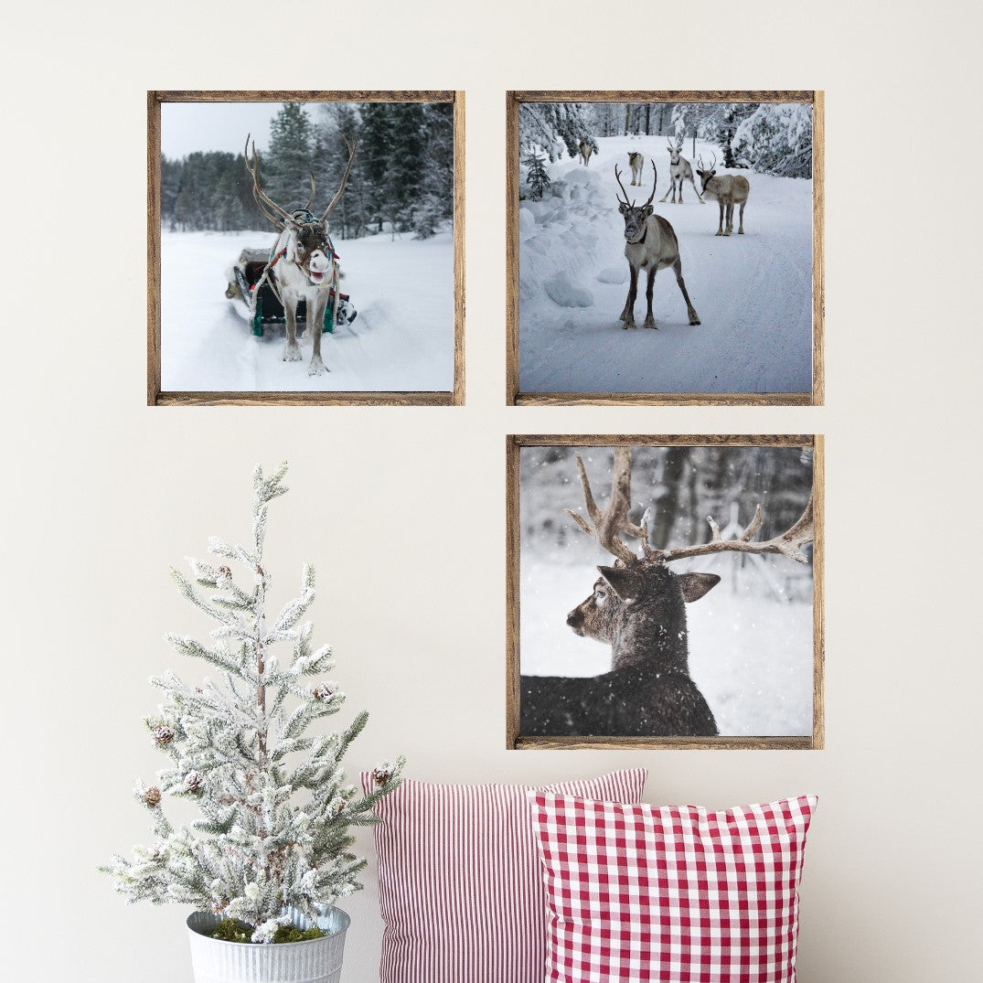 Snowy Reindeer Set of 3 Canvas Printed Signs