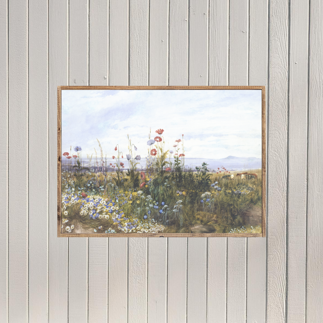 Roadside Wildflowers Be Still And Know Canvas Printed Sign